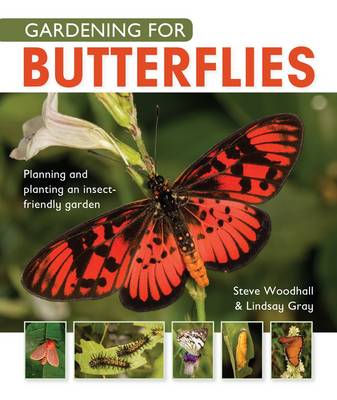 Gardening for butterflies: Planning and planting an insect-friendly garden