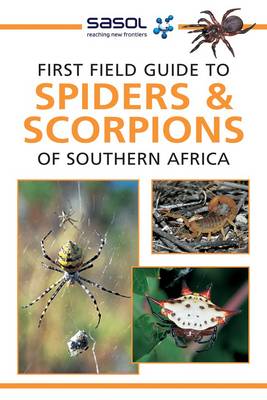 First Field Guide To Spiders & Scorpions Of Southern Africa