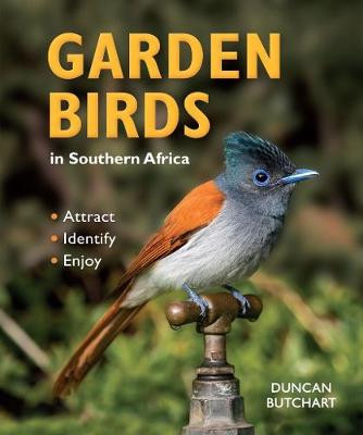 Garden Birds in Southern Africa (Paperback)