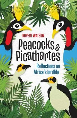 Peacocks and Picathartes: Reflections On Africa's Birdlife