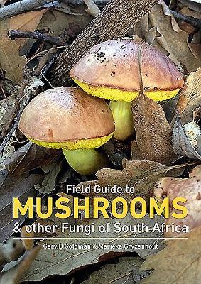 Field Guide To Mushrooms And Other Fungi In South Africa (Trade Paperback)