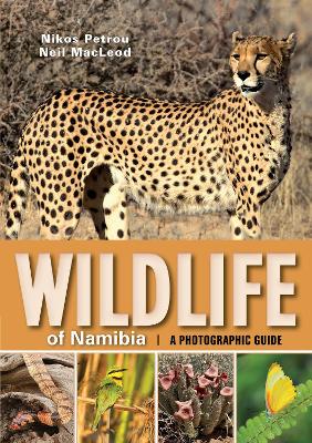 Wildlife of Namibia: A Photographic Guide (Paperback)