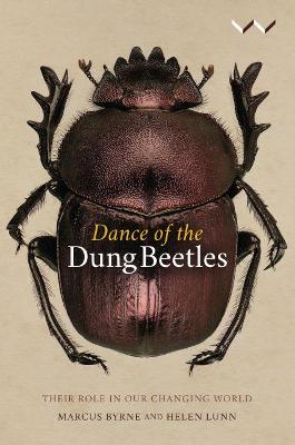 Dance Of The Dung Beetles