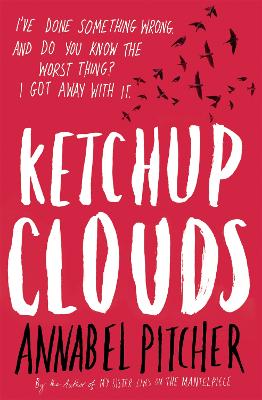 Ketchup Clouds (Paperback)