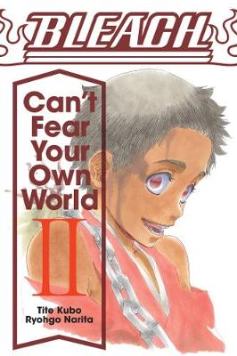Bleach Can't Fear Your Own World Vol 2 (Paperback)
