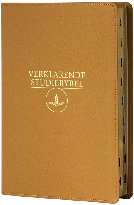 Afrikaanse (1933 / 1953) Verklarende Studiebybel Kaneel (Leather)