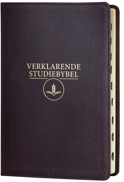 Afrikaanse (1933 / 1953) Verklarende Studiebybel Wynrooi (Leather)