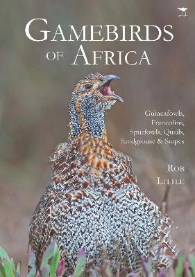 GAMEBIRDS OF AFRICA GUINEAFOWLS SPURFOWL