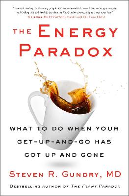 Energy Paradox (Hardcover)