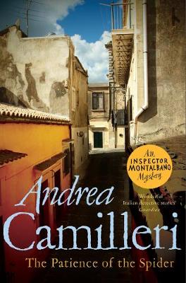Patience Of The Spider (Paperback)