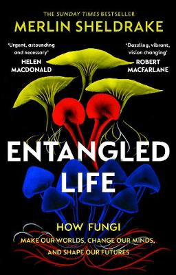 Entangled Life: How Fungi Make Our Worlds, Change Our Minds And Shape Our Futures (Paperback)