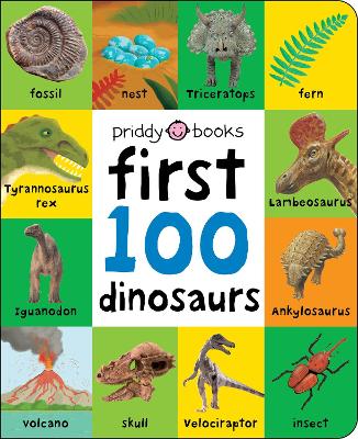 First 100: Dinosaurs (Board Book)