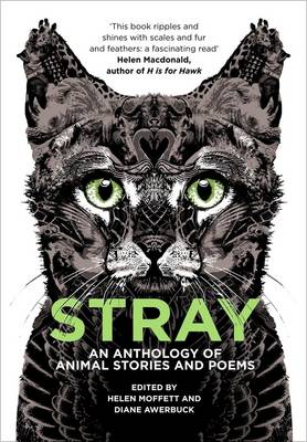 Stray