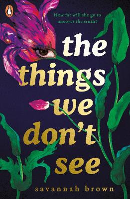 Things We Don't See (Paperback)