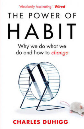 The Power of Habit: Why We Do What We Do, and How to Change (Paperback)