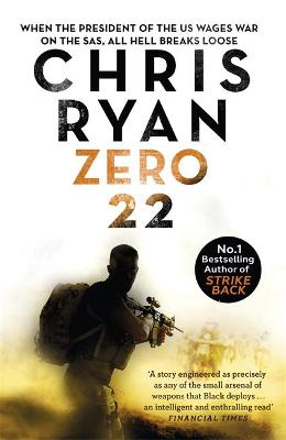 Danny Black 8: Zero 22 (Paperback)