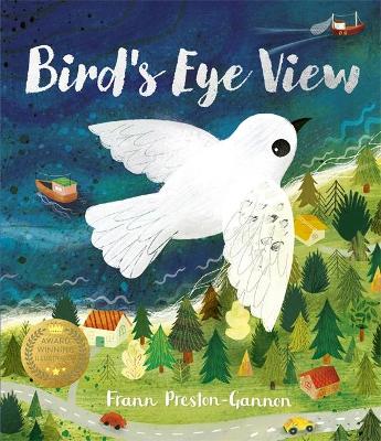 A Bird's Eye View (Paperback)