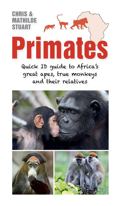 Primates: Quick ID Guide to Africa's Great Apes, True Monkeys and Their Relatives (Paperback)