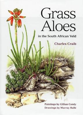 Grass Aloes In The South African Veld