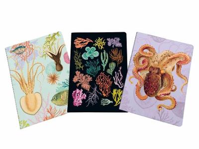 Art of Nature: Under the Sea Sewn Notebook Collection: Set of 3