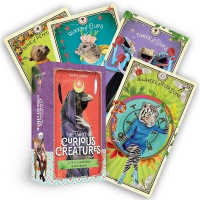 The Tarot of Curious Creatures: A 78 (+1) Card Deck and Guidebook (Cards)
