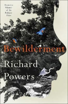Bewilderment (Paperback)