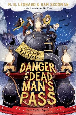 Danger at Dead Man's Pass (Paperback)