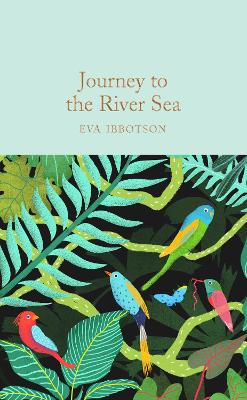 Journey to the River Sea (Hardcover)