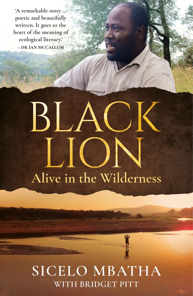 Black Lion: Alive in the Wilderness (Paperback)