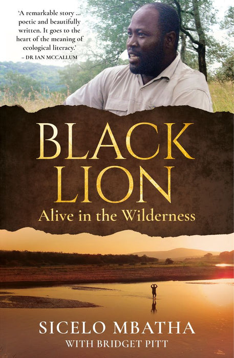Black Lion: Alive in the Wilderness (Paperback)