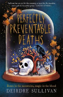Perfectly Preventable Deaths (Paperback)