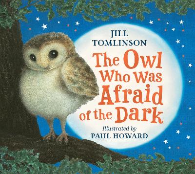 The Owl Who Was Afraid of the Dark (Board Book)