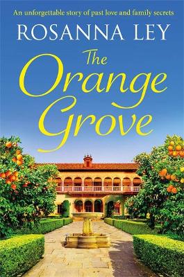The Orange Grove: a mouth-watering holiday romance set in sunny Seville