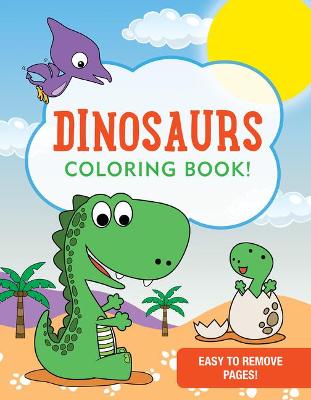Dinosaurs Coloring Book