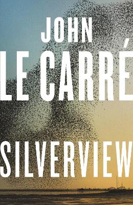 Silverview (Paperback)