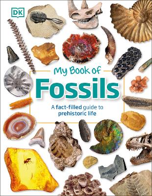 My Book of Fossils: Prehistoric Treasures to Intrigue, Inspire, and Thrill!