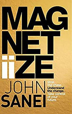 MAGNETIIZE: Stop the chase. Understand the change. Take control of your future. (Paperback)
