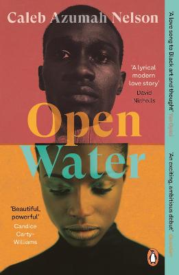 Open Water (Paperback)