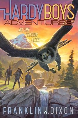 HB ADVENTURES 24 AS FALCON FLIES PB