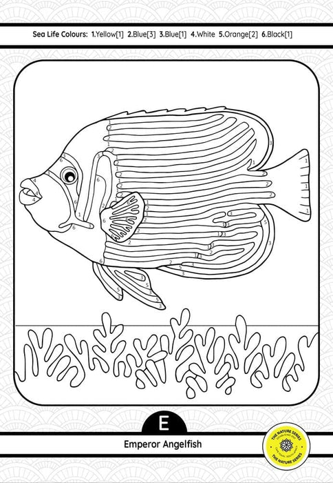 A-Z Sea Life Educational Activity Book (Paperback)