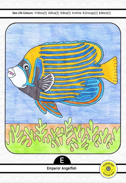 A-Z Sea Life Educational Activity Book (Paperback)