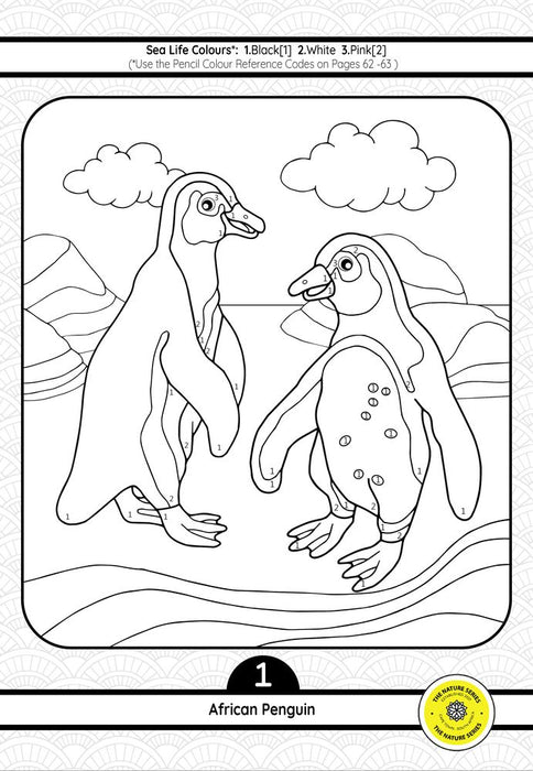 Sea Life of Southern Africa Educational Activity Book (Paperback)