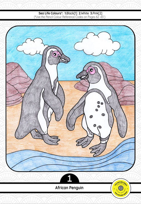 Sea Life of Southern Africa Educational Activity Book (Paperback)