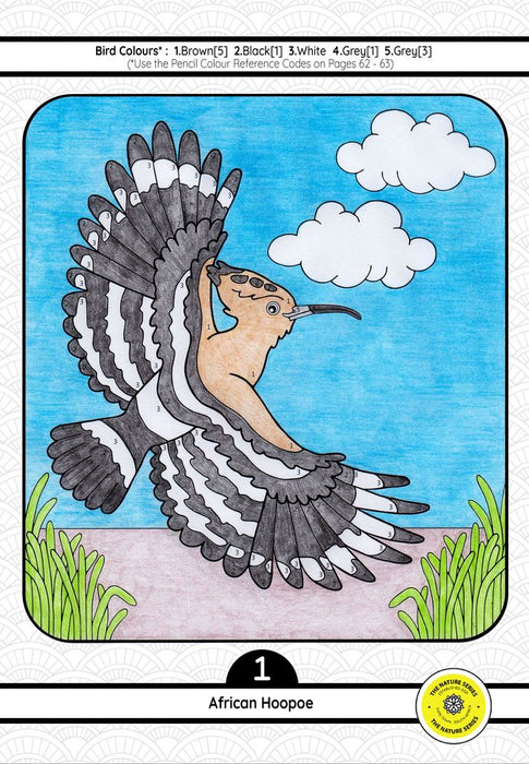 Birds of Southern Africa Educational Activity Book (Paperback)