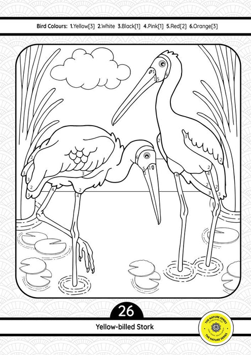 Birds of Africa Educational Activity Book (Paperback)