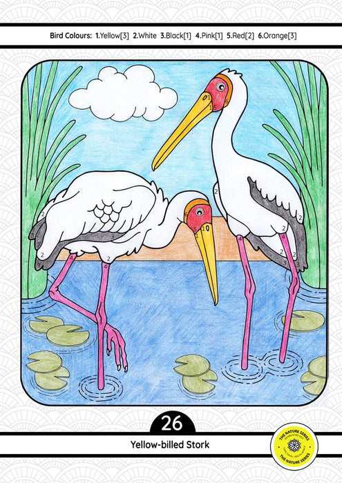 Birds of Africa Educational Activity Book (Paperback)