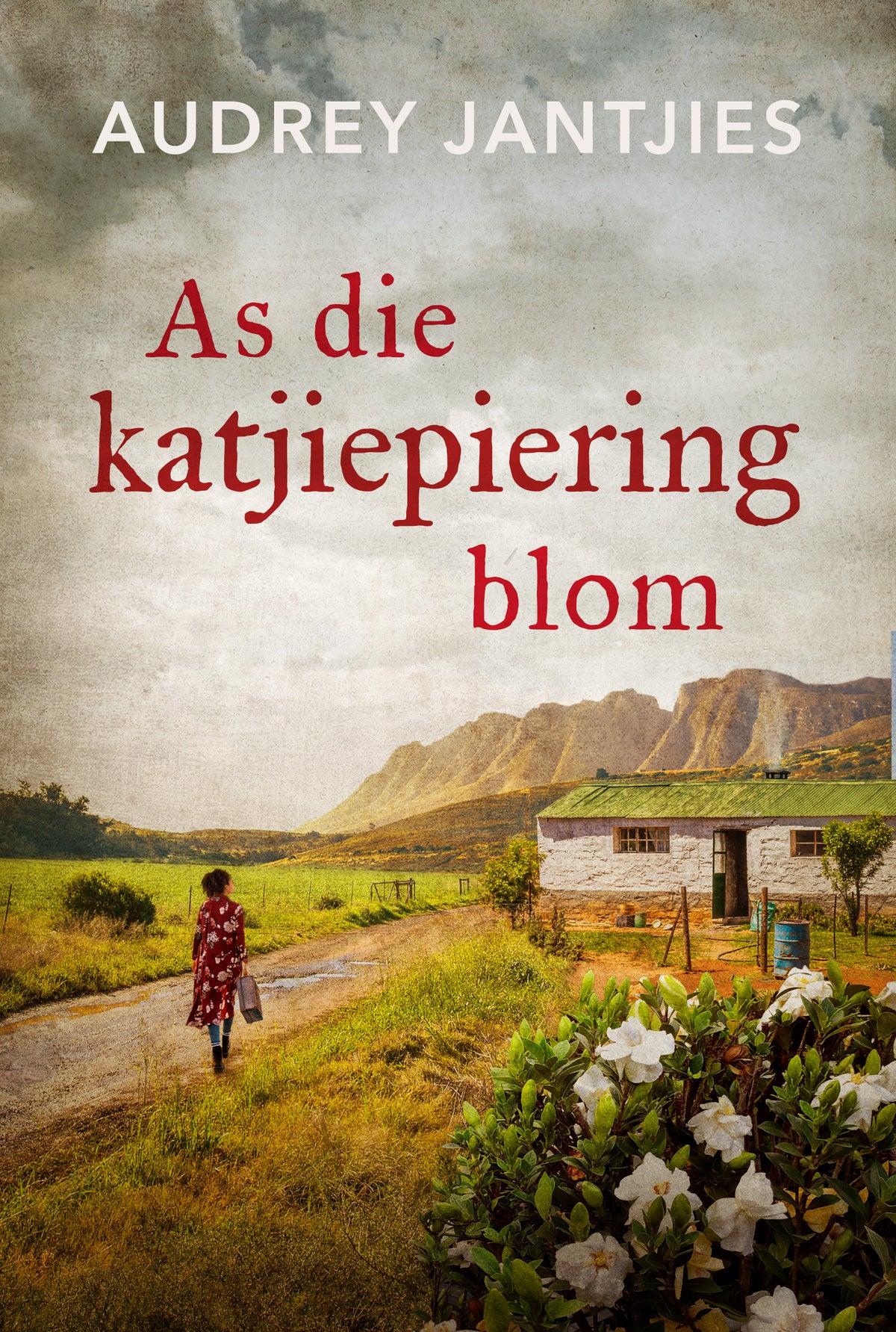 As die Katjiepiering Blom
