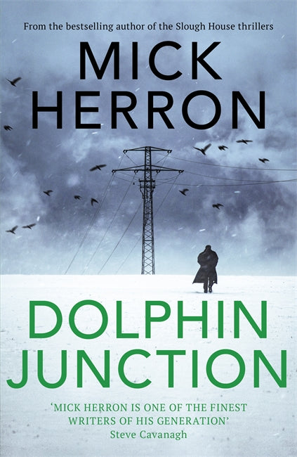 Dolphin Junction (Paperback)