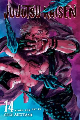 Jujutsu Kaisen, Vol. 14 (Trade Paperback)