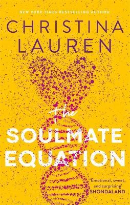The Soulmate Equation (Paperback)